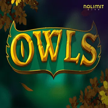 Owls - POWERPLAY128