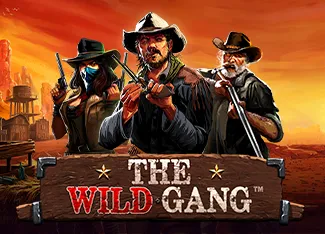The Wild Gang - POWERPLAY128