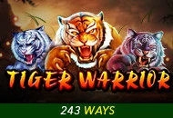 Tiger Warrior - POWERPLAY128