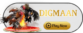 Digman - POWERPLAY128